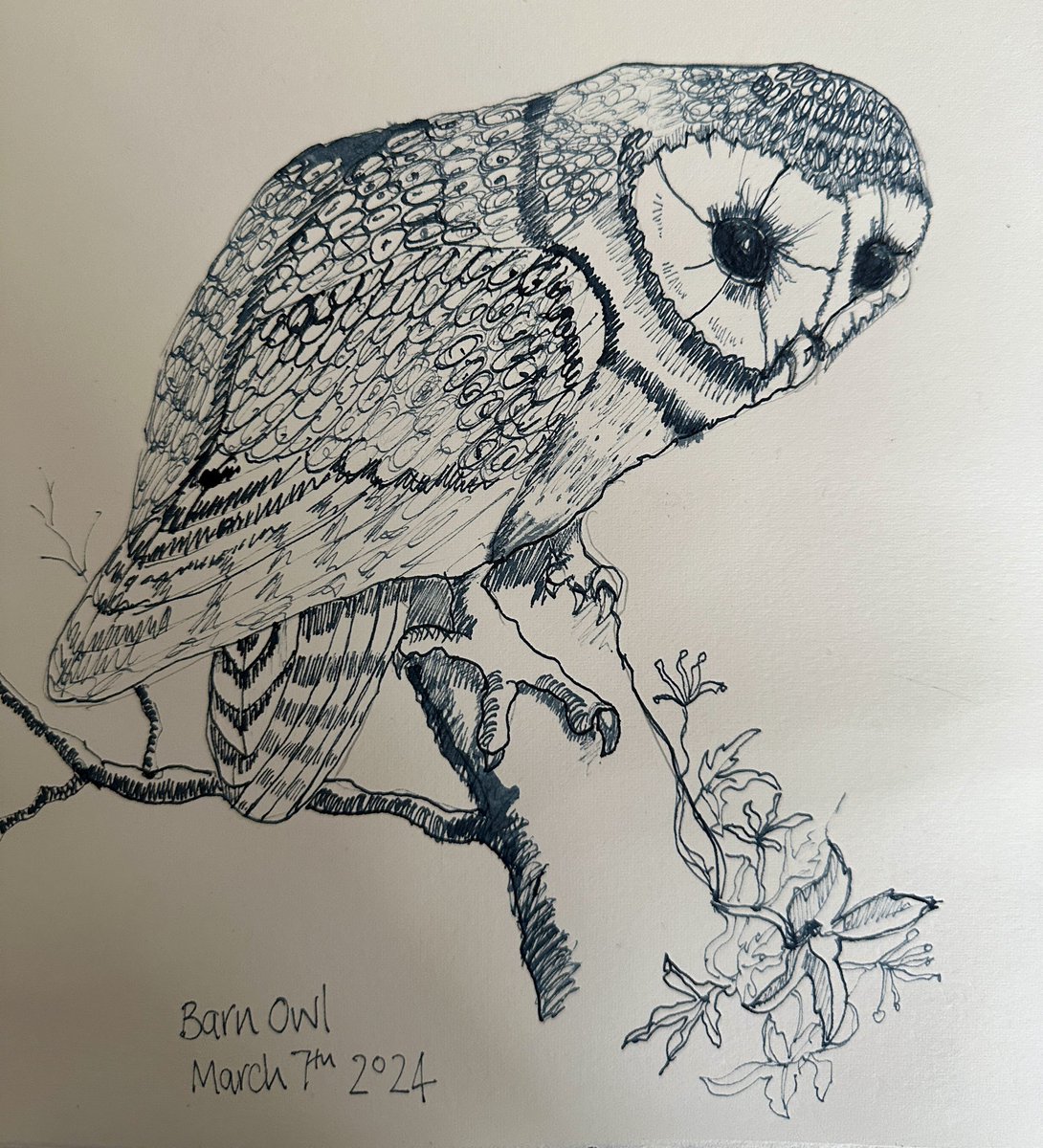 Finished my #BarnOwl #dippen #ink #sketchbook #drawingaday