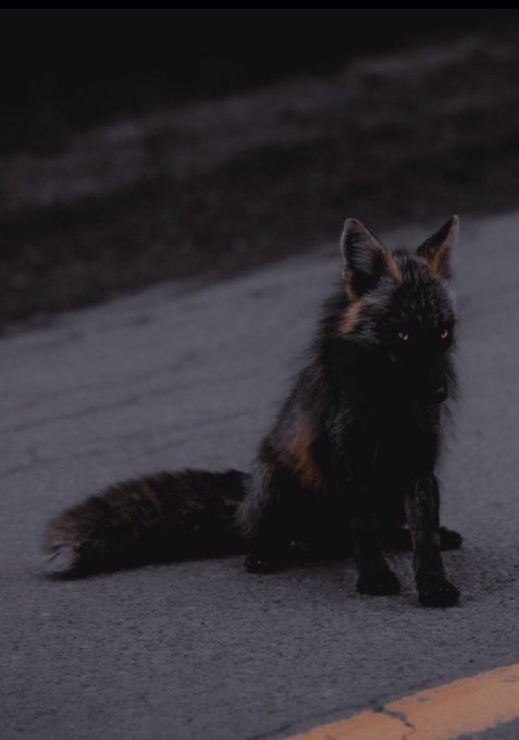 no boobies on the timeline today just wanted u all to know i&rsquo;m going to live my life as a cute little