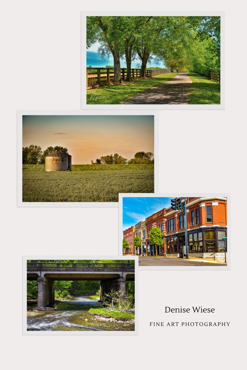 Many thanks to the buyer for your purchase of 4 #canvas prints!  #nashvilletennessee #springfieldtennessee #AYearForArt  #denisewiesephotography #fineartphotography
