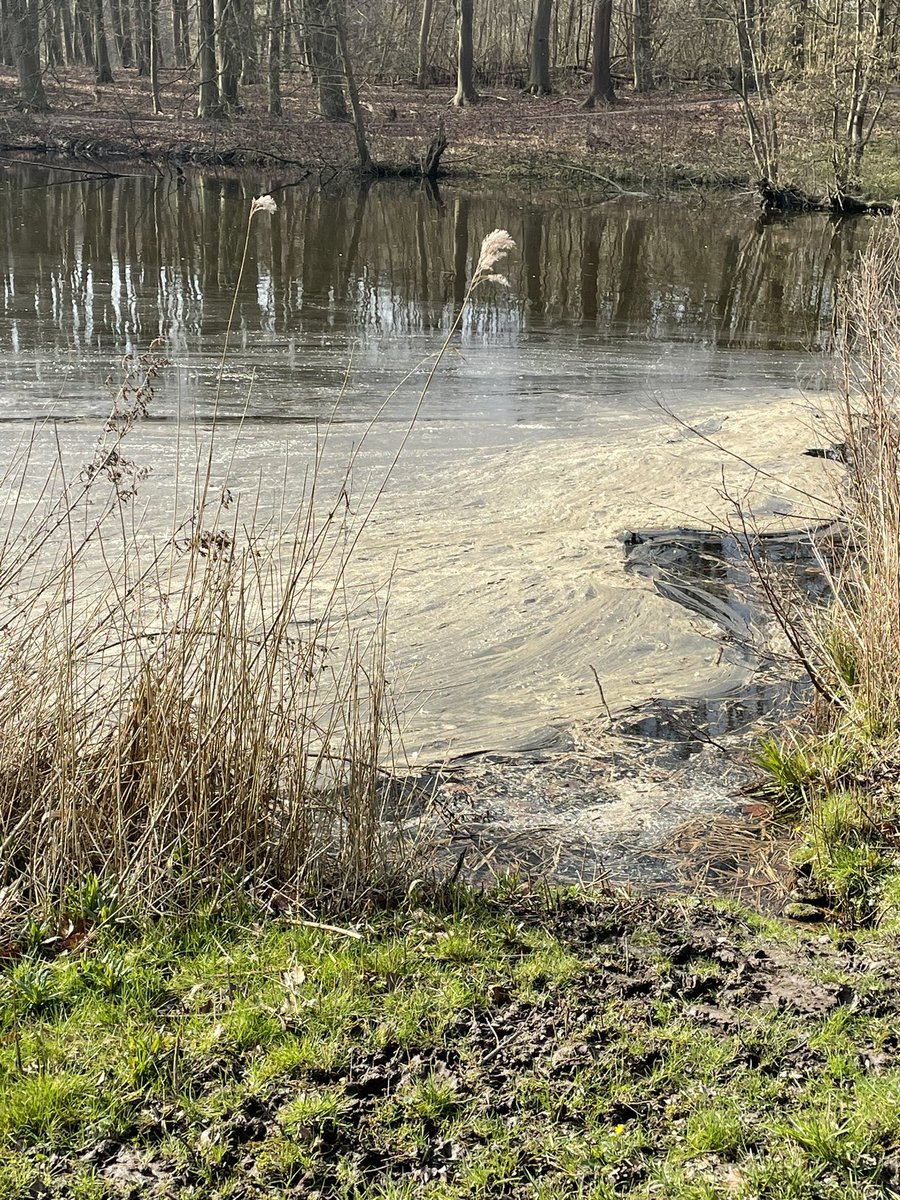 NicoletteStoltenborg tweet media