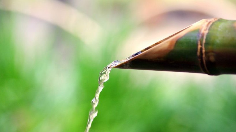 💧 La start-up Bamboo For Life a mis au point une technique s'appuyant sur le bambou pour dépolluer les eaux usées. Une plante qui permet aussi d’absorber du carbone, de constituer des îlots de fraicheur et de produire une biomasse valorisable. À lire ➡ cutt.ly/5w1WQMxP