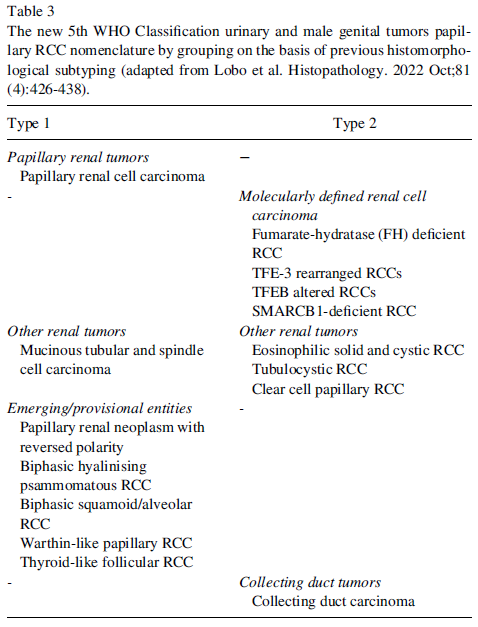 Selcuk__Erdem's tweet photo. In our new study published in @UrolOncol, we recommended that the experience gained from histomorphological subtyping in papRCC might be implemented in new 5th WHO/ISUP era from the point of prognostic view

Thanks all researchers and @EAUYAU_RenalCa team for their contributions https://t.co/GOJ41jiM3I