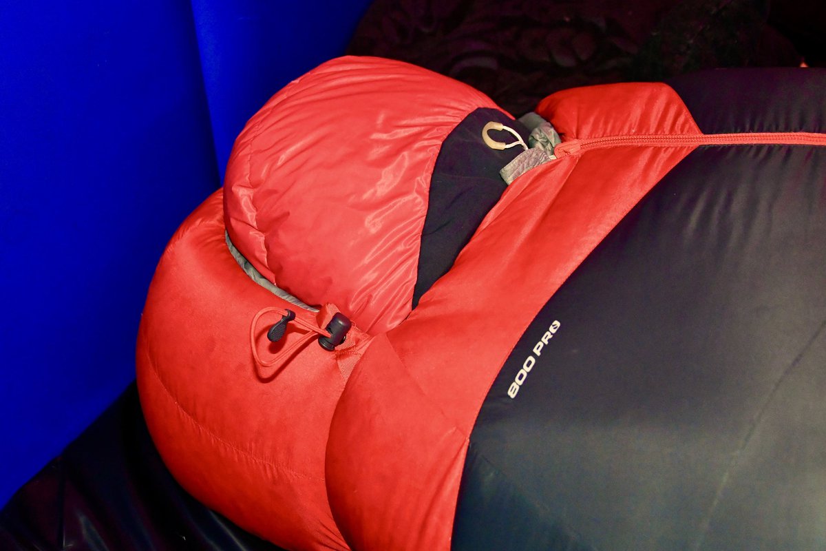 Puffy & Padding tweet media