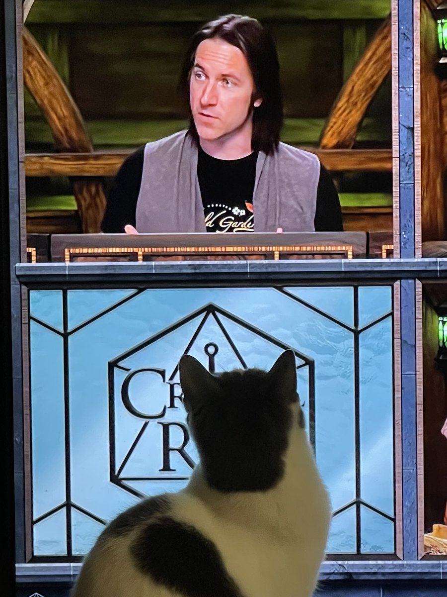 MsMamaYoshi's tweet photo. My cat loves @matthewmercer as much as we do!! 😻😻😻 To Matt and the entire cast, thank you for the amazing story telling, expert role playing &amp; humour. Discovering @CriticalRole is the best thing that could have happened to us!! Love you guys!! ❤️❤️❤️  #MattMercer #CriticalRole https://t.co/UWAVMs8NcX
