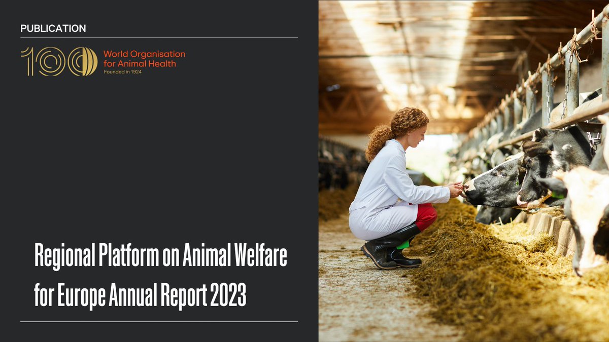 WOAH_Europe's tweet photo. We are pleased to share the annual report for the Regional Platform on Animal Welfare for Europe.

2023 was a pivotal year for the Platform to successful conclude the implementation of the 3rd Action Plan (2021 - 2023) and to build the following Action Plan for 2024 - 2026.

Please find the Annual report 2023 here: https://t.co/ePya0rliB3
