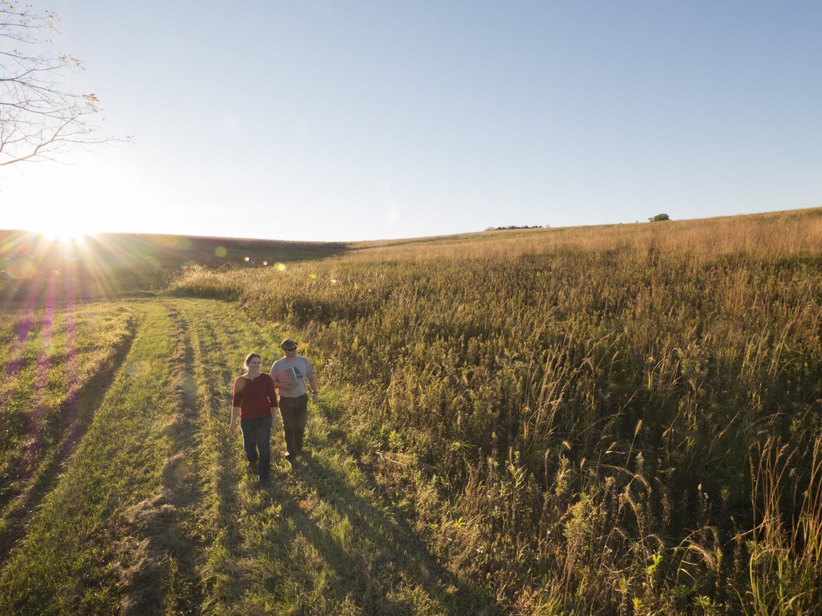 What is the #FarmBill &amp; why does it matter? This big piece of legislation supports America’s farmers, ranchers &amp; forest stewards who want to adopt climate-smart practices. Urge your elected officials to pass the bill: nature.ly/3T4dco9 📸 Mark Godfrey/TNC