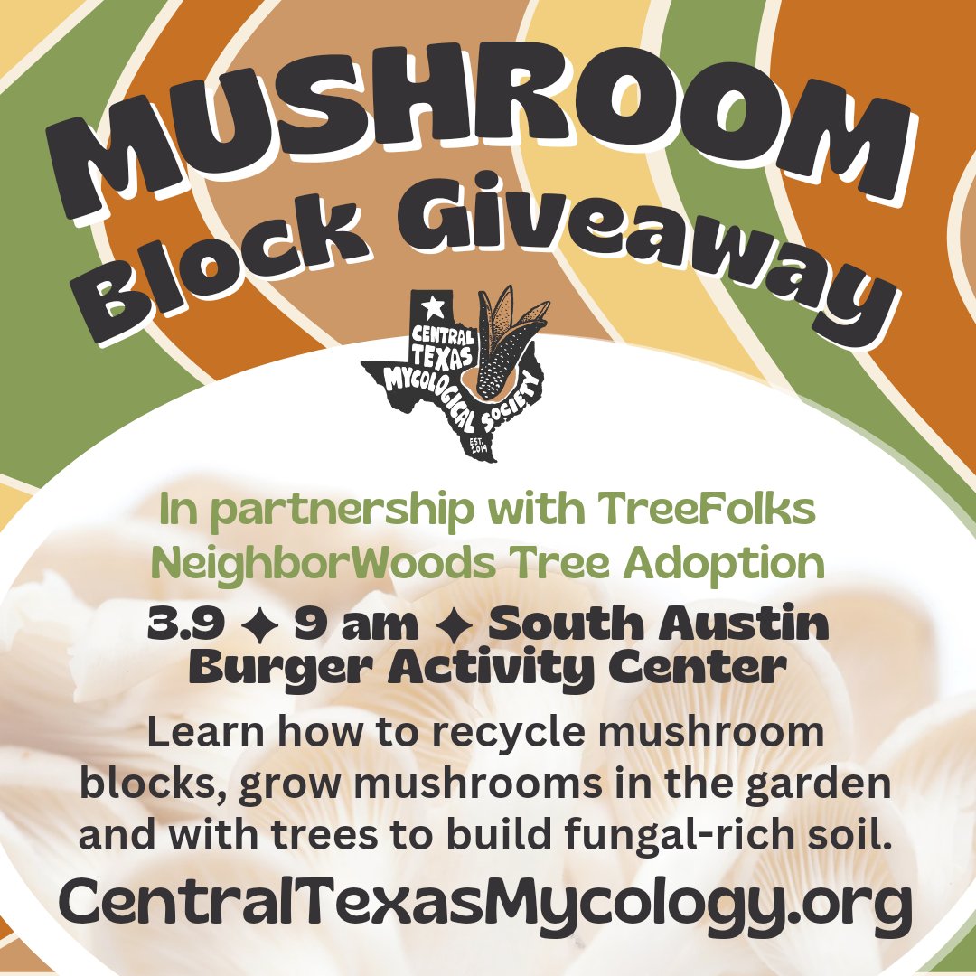 This Saturday we will be joining @treefolks at the tree giveaway and will be giving away mushroom blocks at the @sfcfarmersmarket in Sunset Valley! Come learn how to use mushroom blocks to help your trees thrive! Download the Caring for Trees with Mushroom guide: