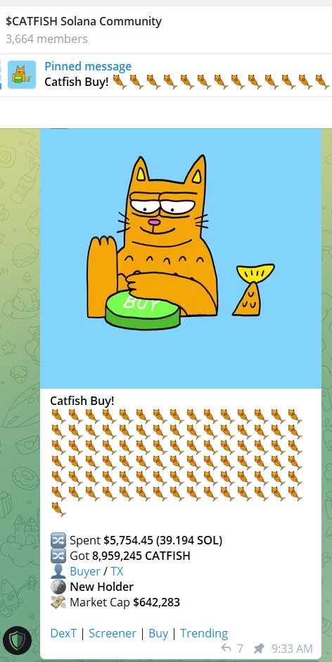 catfishonsol's tweet image. #CatFishOnSol  is on the prowl and the buy pressure is unstoppable! With a hefty haul  like today’s, we're setting up to be the alpha of the meme coin sea this  bull run. Get your nets ready – we're catching waves to the top! 🐱🐟