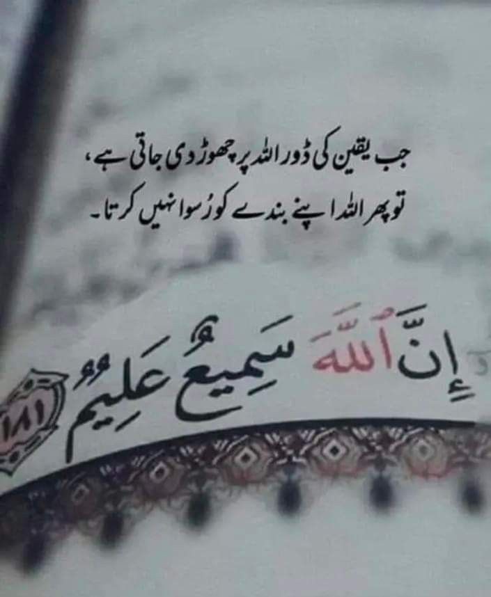 Assalam-o-alaikum ♥️🥀
Good Night 🌃
My Dear X Family ♥️🥀
Love you All Friends