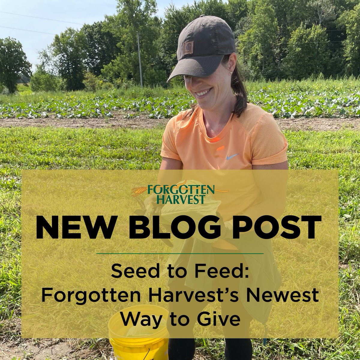 ✨NEW BLOG POST✨ Forgotten Harvest has many ways for you to get involved in the fight against food insecurity. Whether you’re looking to dive in with volunteer work or support our organization with donations, we make it easy to help your community. 👉 bit.ly/4c2UXrU