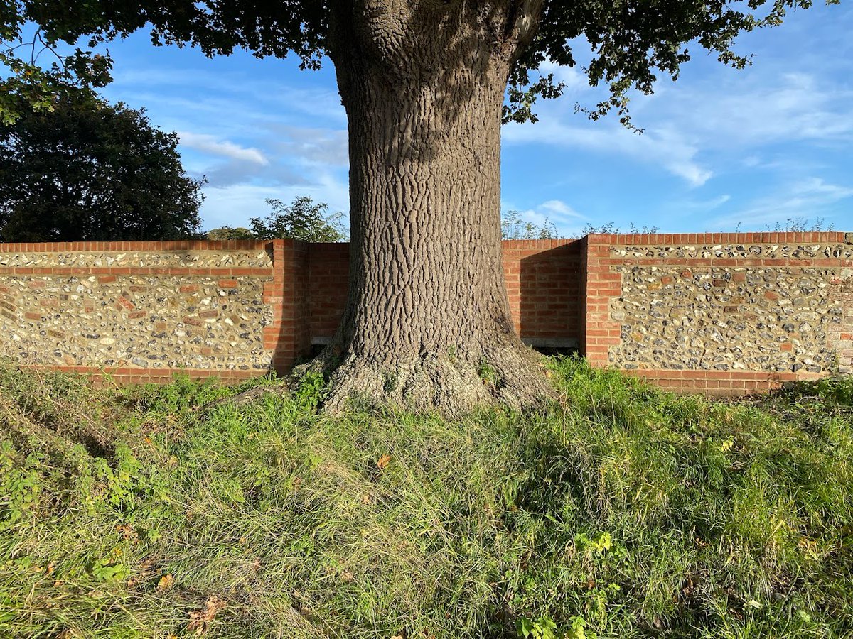 Maintaining the Englefield Estate is a year-round effort. Examples include bricklayer Robin White's work to expertly restore our historic brick & flint wall. Read more about the work we do to make the Estate fit for the future in the Englefield Echo: calameo.com/read/005138646…