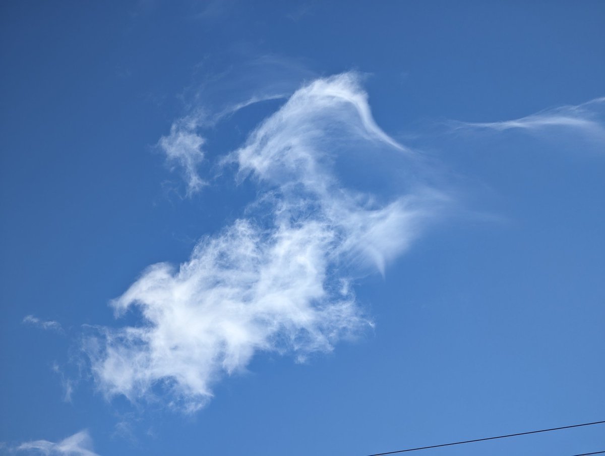 Tom Stef tweet media