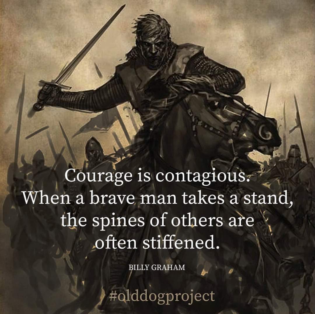 vinitkhurana4u's tweet image. #courage is #contagious. When a brave man takes a stand, the spines of others are often stiffened.