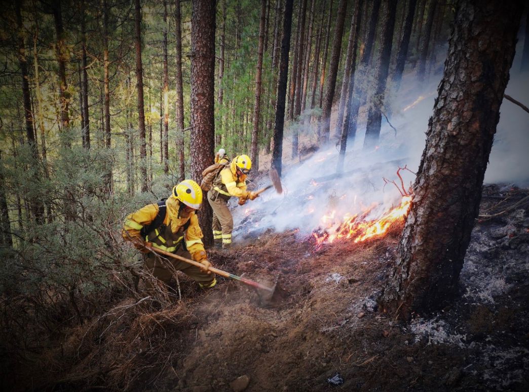 Las #BRIF hemos ido evolucionando desde la extinción de incendios forestales hasta llegar a la prevención integral.
Trabajos sevícolas,quemas controladas o formación y concienciación,están ya en nuestras funciones.
@mitecogob @Grupo_Tragsa #CuidarAQuieNosCuida #BomberosForestales