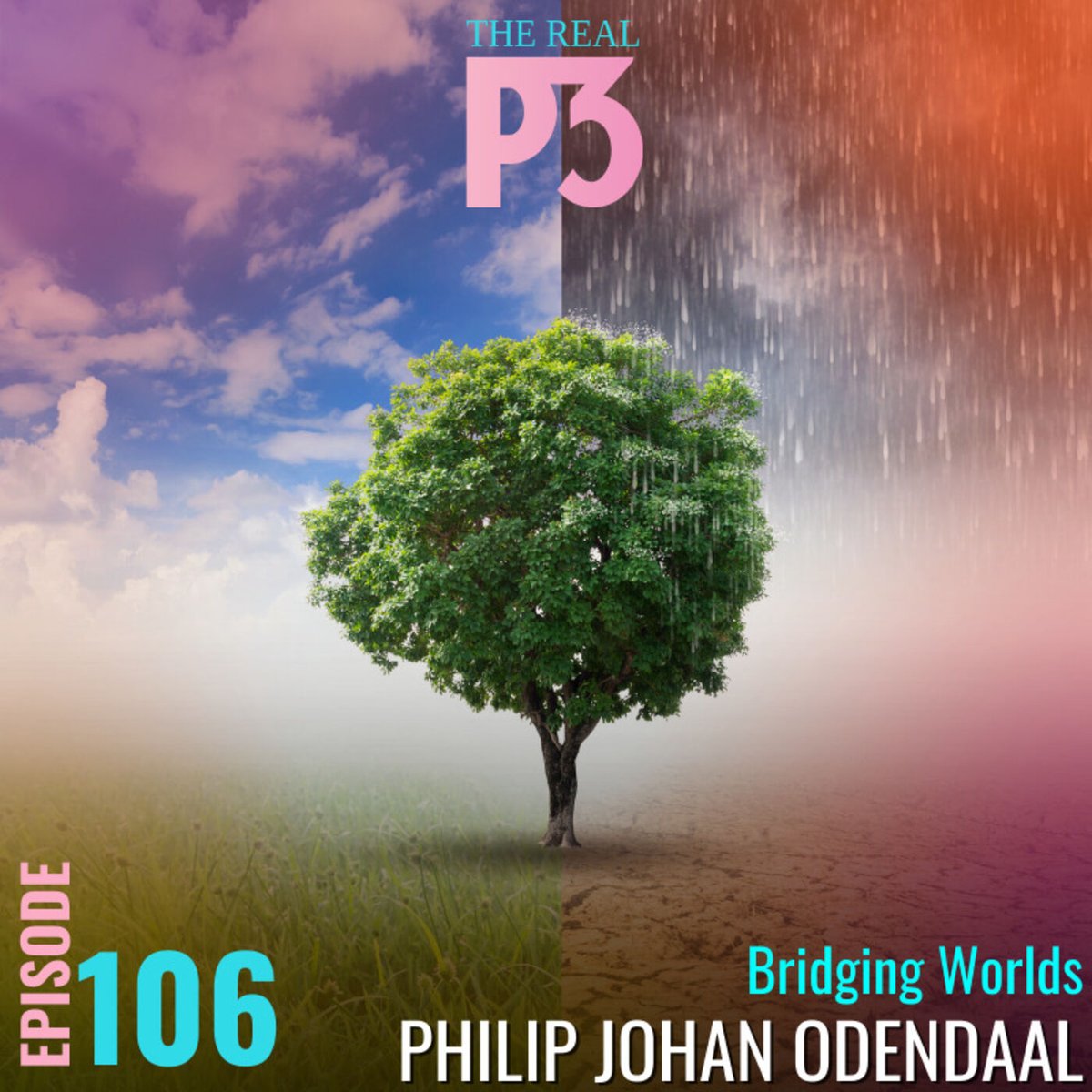 RealP3Podcast's tweet photo. 🌍✨ New Episode Alert! 🎙️ Dive into the Real P3 Podcast as Casey Bradley &amp; Johan Odendaal bridge global #Agribusiness worlds! 🐖💡 From US animal nutrition to global insights with a #NuffieldScholar twist. Ready to be unstoppable?  

Listen now: https://t.co/KZ5KUniIR0 https://t.co/lEpECAWjzD