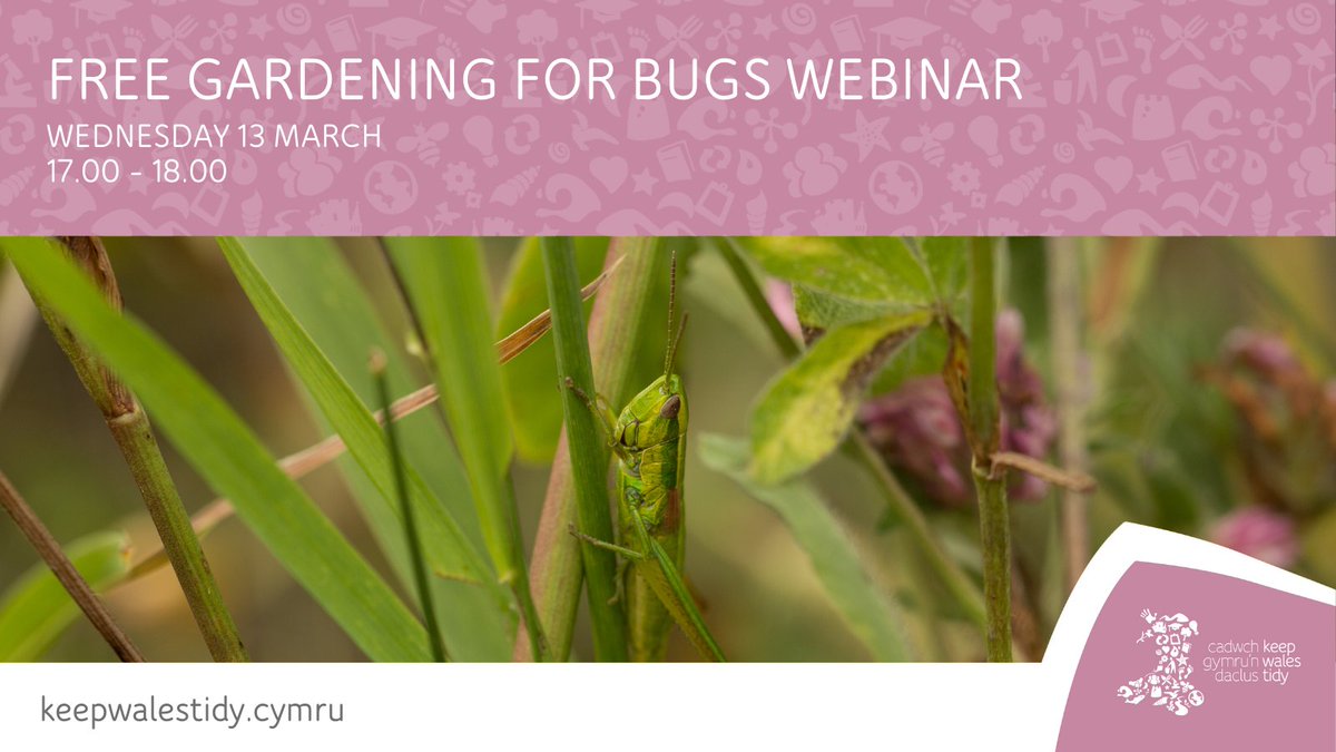 Most bugs are crucial for biodiversity and the ecosystem. It’s true. They play a key part in making our planet healthy for all. Want to learn more? 💚 Book your place on our free webinar, ‘Gardening for Bugs’, with @BuglifeCymru @Buzz_dont_tweet 🐛 👉 bit.ly/49TSRst