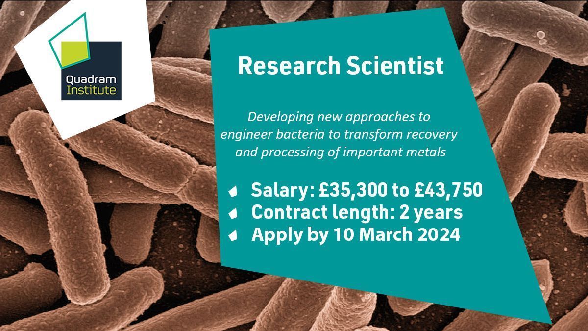 ⏰ Closing soon! We're looking for a Research Scientist to join @ma_webber's group to develop new approaches to engineer bacteria to transform recovery & processing of important metals 🦠 💷 £35,300 to £43,750 🗓️ Apply by 10 March 2024 ➡️ buff.ly/3wxfcOb