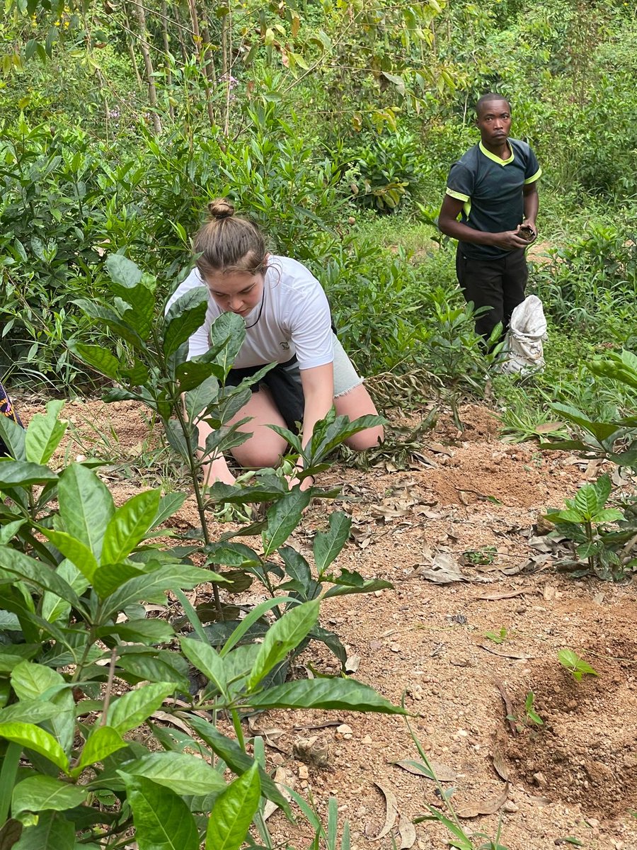 digitalgreenly's tweet photo. Through innovative technology and community engagement, we aim to create a virtual forest that will have a real-world impact on environmental conservation. Excited to make a difference with @ISAROEconext #Sustainability #DigitalTreePlanting 🌳🌍 https://t.co/BsfRzUMTdj