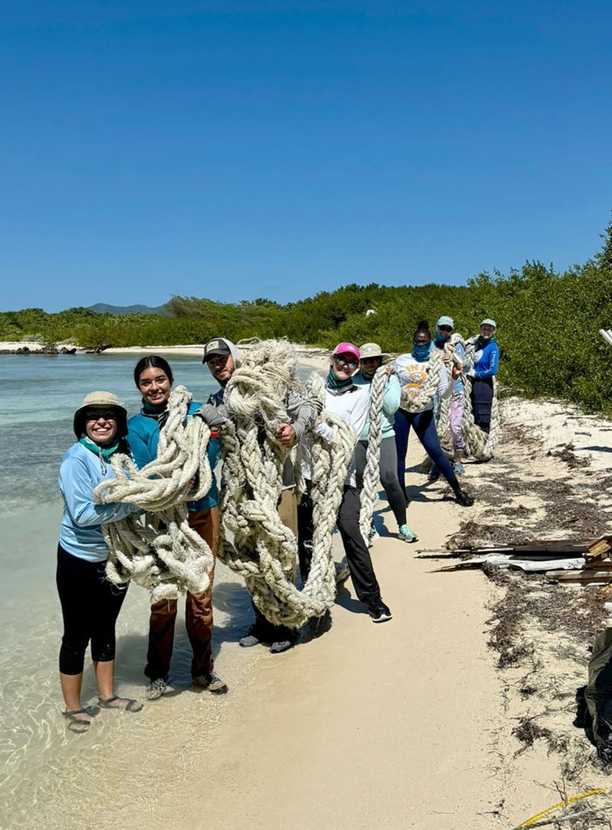 VI_Source's tweet photo. Volunteers from the University of the Virgin Islands and the Department of Planning and Natural Resources conducted cleanups last month, removing 1,602 pounds of trash from the environment. Read more: https://t.co/wzd4auAQZa
#VISource #TheSource #LocalNews #News #PhotoFocus https://t.co/hBmlnqAGmV