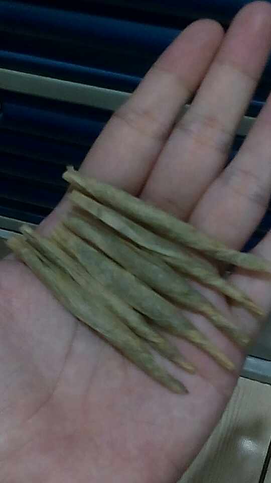 BatangPasaaway's tweet photo. Kasama~ #AlterDavao https://t.co/FDOx8hJnZV