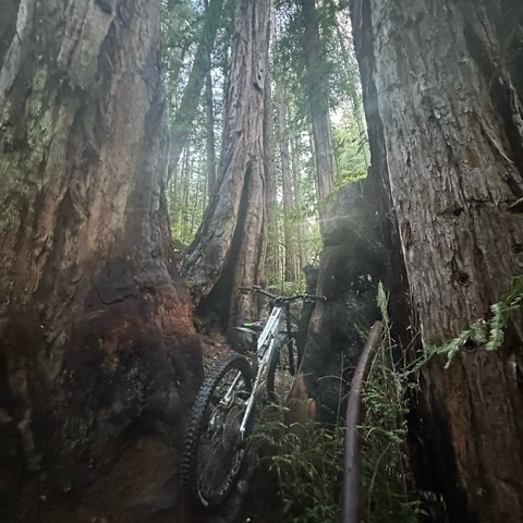 Pole Bicycles Co. tweet media