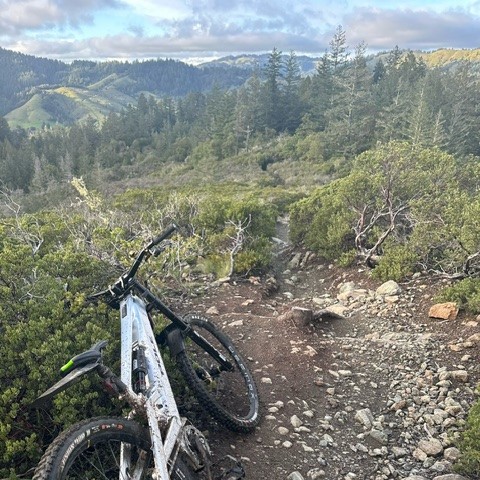 Pole Bicycles Co. tweet media