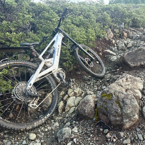 Pole Bicycles Co. tweet media