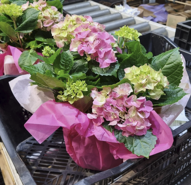 Gardening Express tweet media