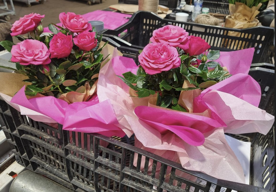 Gardening Express tweet media