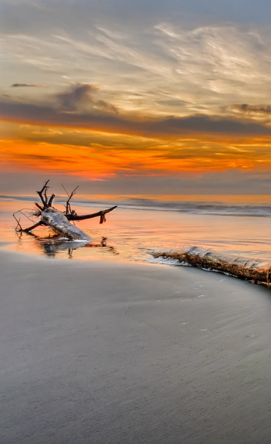 夕日の光は風に飛ばされるようにすぐに消えてしまい、まるで戻れない美しい日々のように。