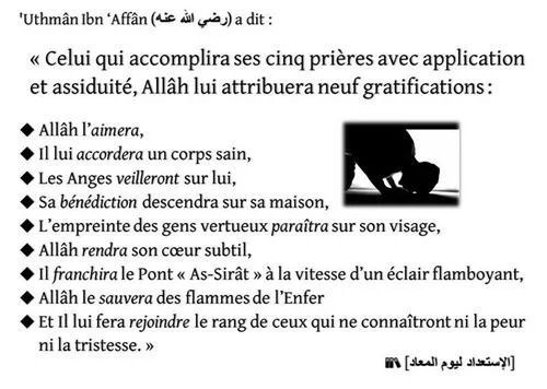 tunitounss's tweet photo. Celui qui est assidu à ses 5 prières quotidienne, Allah lui attribuera 9 gratifications.. https://t.co/iSOVMLxRRS