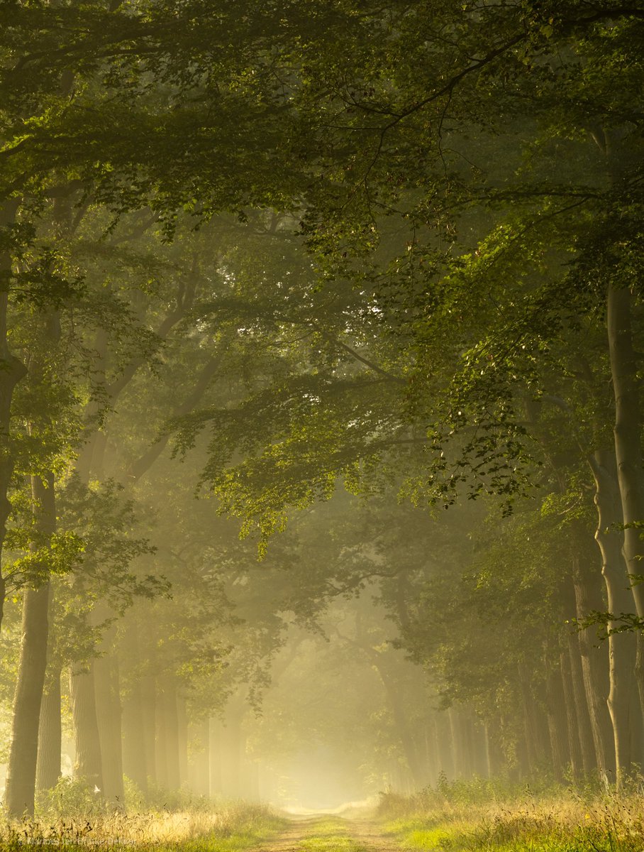 Zin in zo’n mooie ochtend als dit…