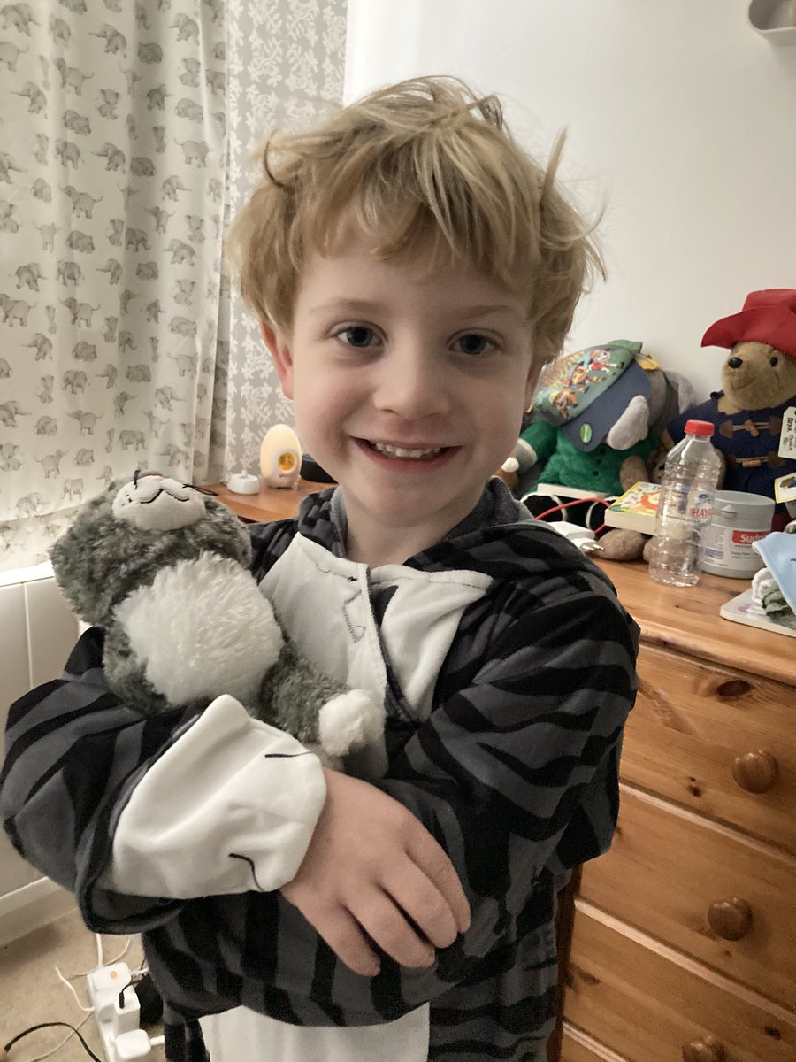 rachaelash12's tweet photo. Mog for World Book Day🐱 #ohjack #WorldBookDay2024 https://t.co/K43PV5SREY