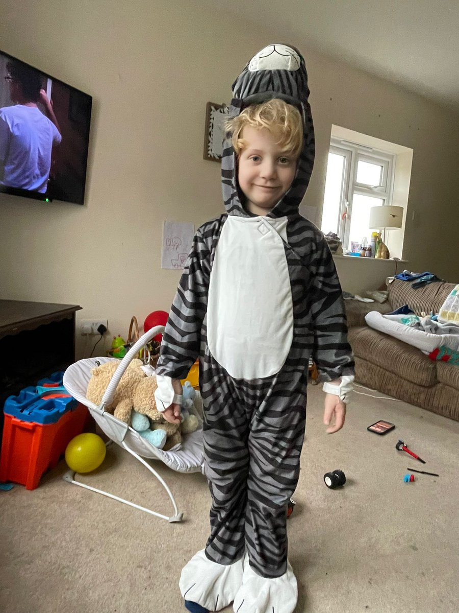 rachaelash12's tweet photo. Mog for World Book Day🐱 #ohjack #WorldBookDay2024 https://t.co/K43PV5SREY