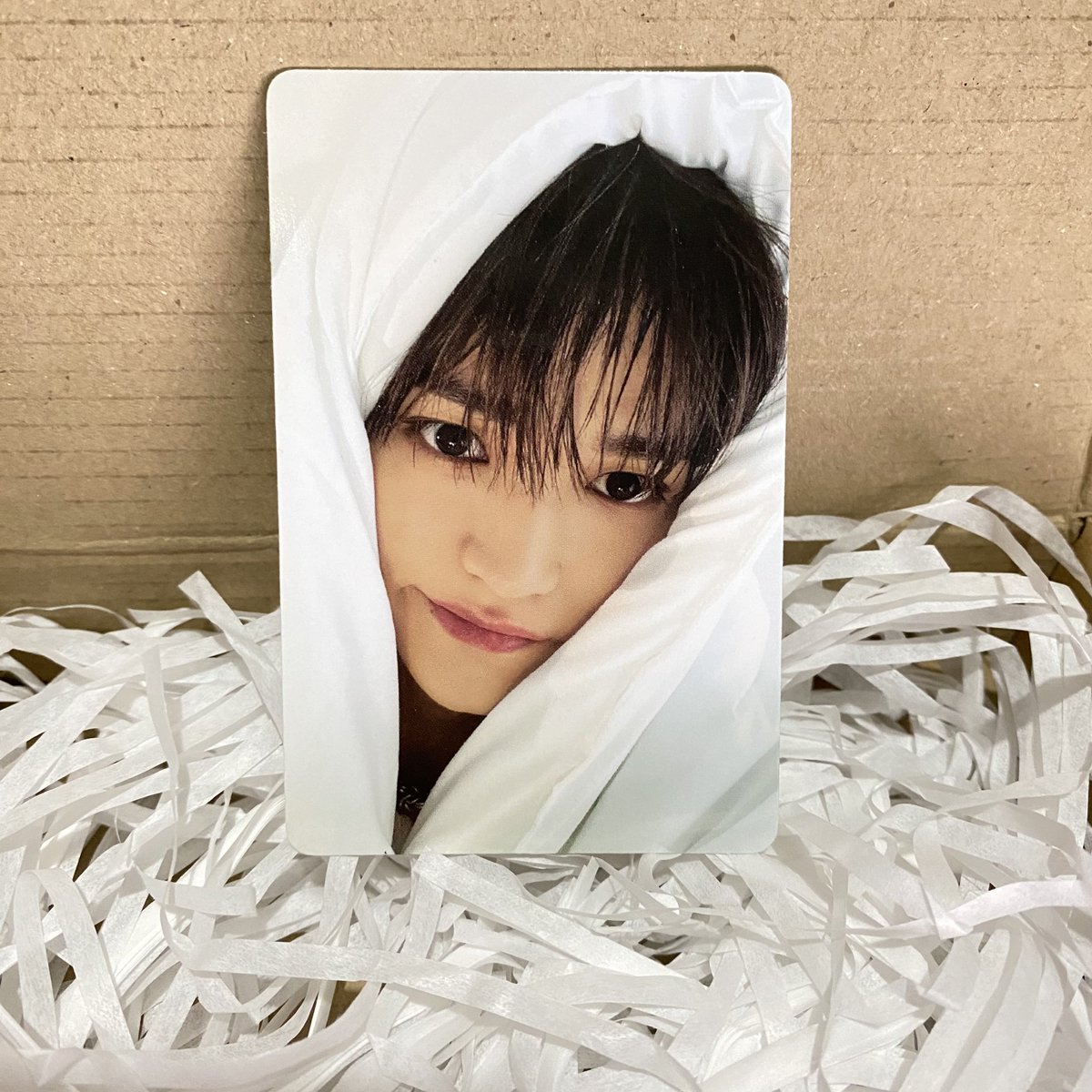 softboylty's tweet photo. he's so cute....... https://t.co/AnxMFtYuB6