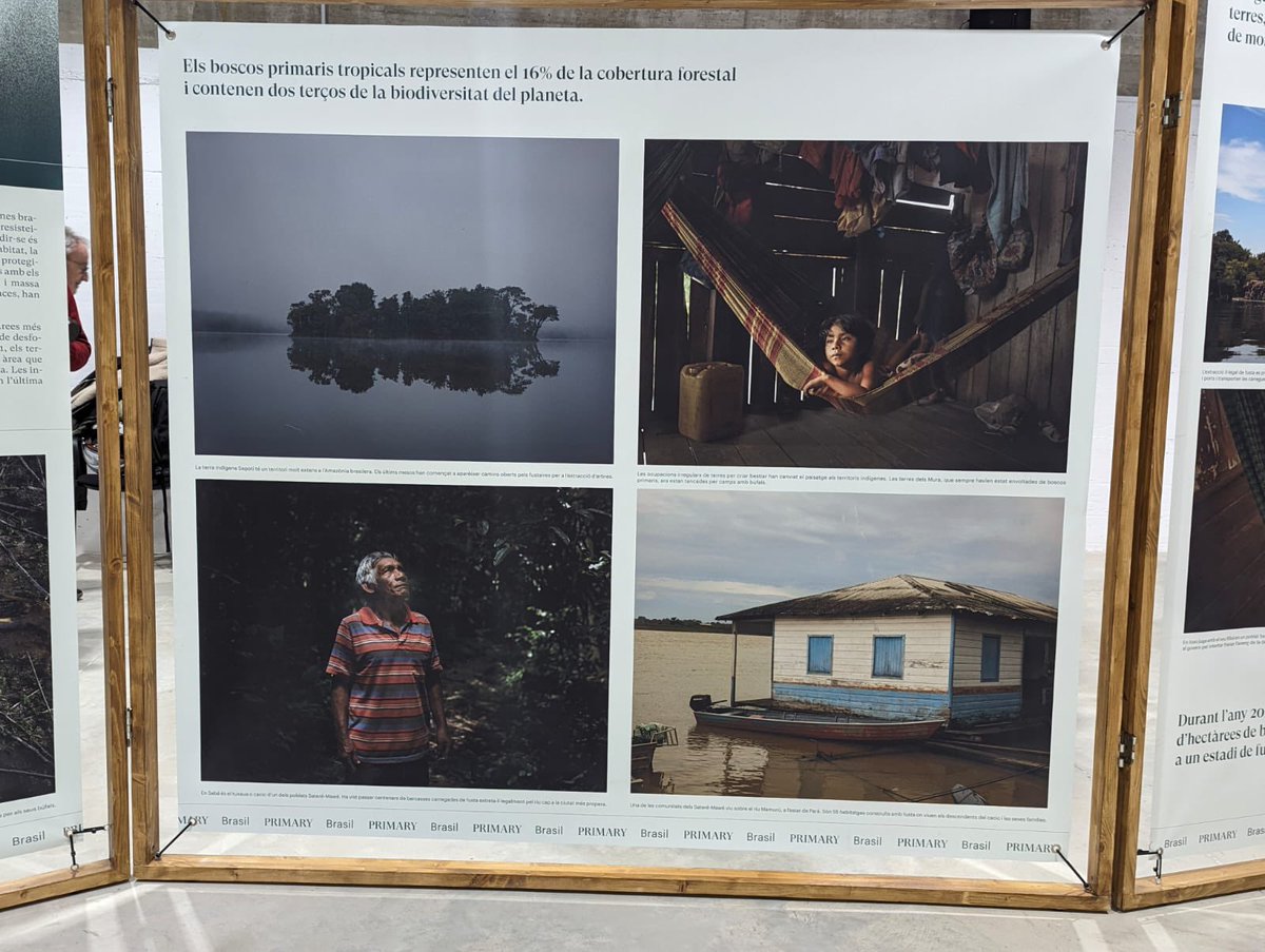 ComunsSantJust's tweet photo. Ahir durant l’exposició fotogràfica #Primary de @ruidophoto al Centre Cívic Soledat Sans i Serafini de #MasLlui https://t.co/gKrLn1fxhM