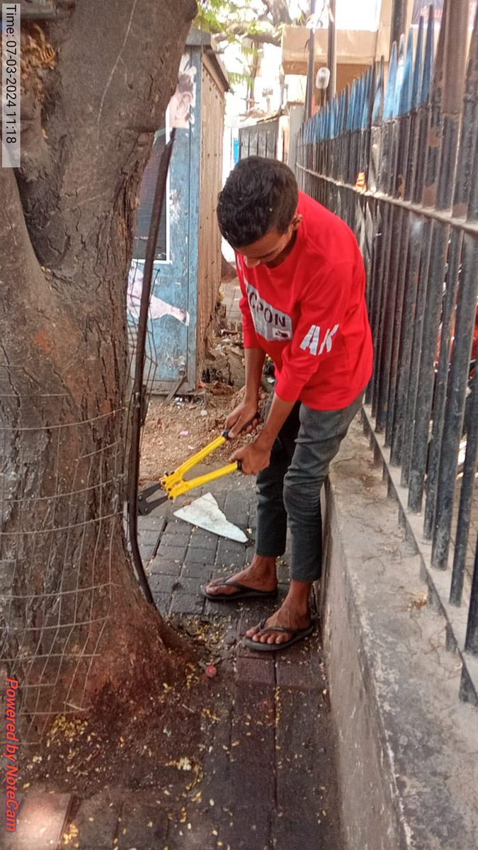 Parks Control Room tweet media
