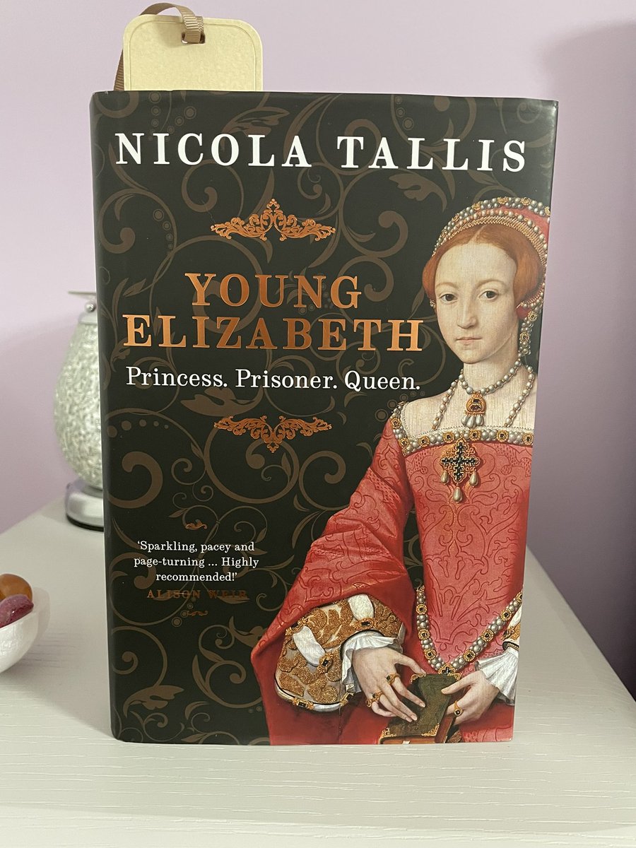 Seeing as it’s #WorldBookDay, I just have to recommend this wonderful tome. I’m only halfway through, but I already love it so much. It’s fabulous! Please read it if you have any interest in Tudor history. @NicolaTallis #nonfiction #books #tudorhistory