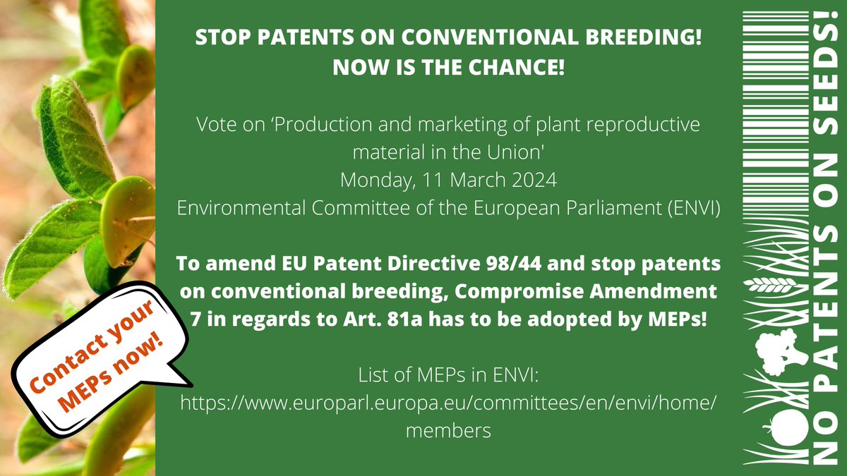 BIG OPPORTUNITY: On 11 March MEPs can vote on a change in patent law in the ENVI committee. If compromise amendment 7 on Art. 81a is adopted, this can help stop patents on conventional breeding! Contact your MEPs now: tinyurl.com/yc5dstyy
