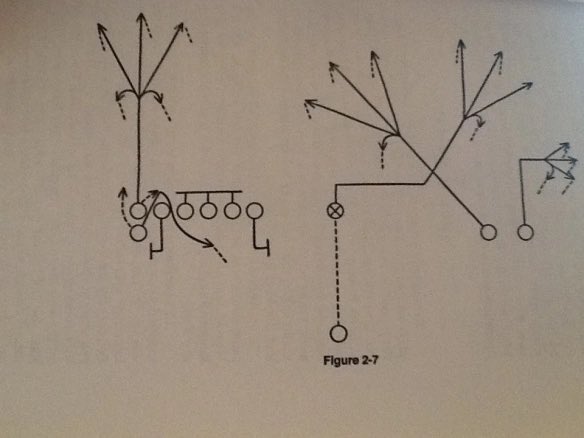 The Dead Polecat Formation
