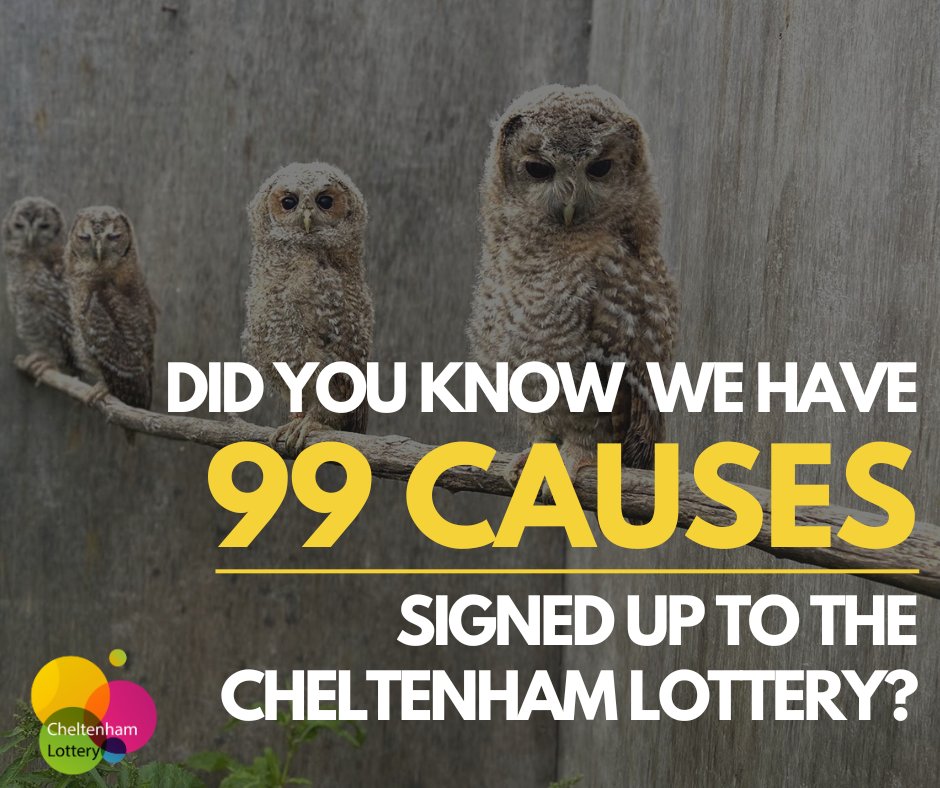 Cheltenham Lottery tweet media