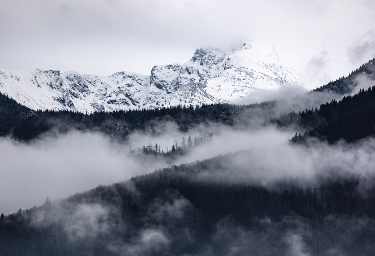 Original colors. No black and white filter.