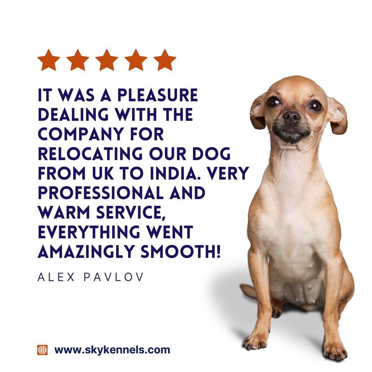 🐾 Looking for a stress-free pet relocation experience? From the UK to India &amp; all over the world - our team is here to make the journey seamless. Get in touch with our pet-loving, professional team: skykennels.com/contact   #PetRelocation #ProfessionalService #HappyCustomer
