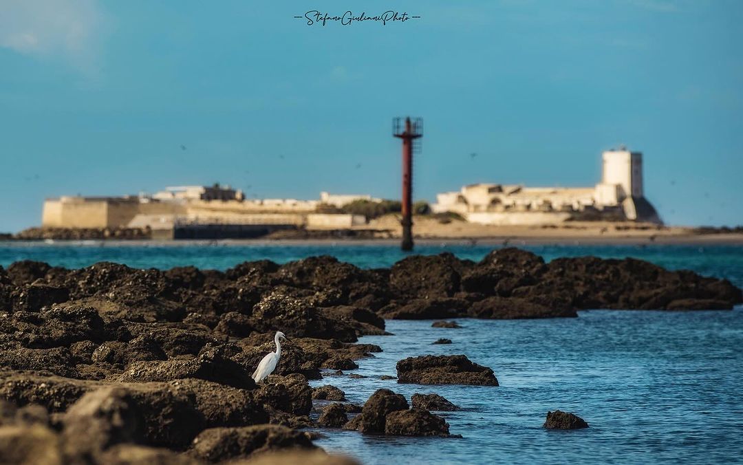 Sancti Petri, Chiclana de la Frontera.
📸 Stefanogiulianiphoto.
#andaluciayole #andalugrafias #andaluciasolohayuna
#cadiz 
#sevilla 
#malaga 
#huelva 
#jaen 
#granada 
#cordoba
#almeria
#andaluciaparaiso
#andaluciaturismo
#visitaandalucia