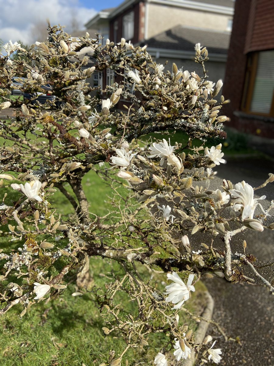 sallyredmoreseaglass tweet media