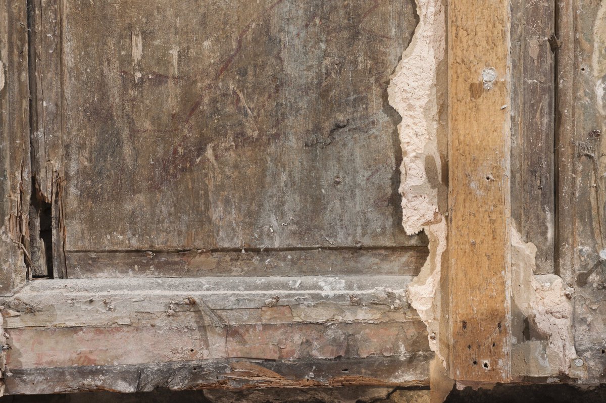 If you suspect dry rot in your property, how can you tell? 🤔 - an earthy smell - fruiting bodies on the surface - cupping of joinery (e.g. curved skirting boards) - insect holes - floor deflection (movement) - surface mould - obvious issues (poor drainage, pools of groundwater)