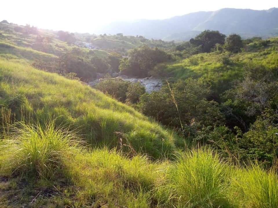 glosings0n's tweet photo. Malgré tout ce qui se passe dans le pays, ce qui est beau ne changera pas, arrêtez de faire souffrir vos frères #Ituri #NordKivu 🛑 #StopGenocide 🩸
#VisitBunia se réveille pour vous dire qu'il y a une vie de l'autre côté ✊
Avec @VisitBunia soyez dans la ville de #Bunia au rdv https://t.co/clwTJAbE71
