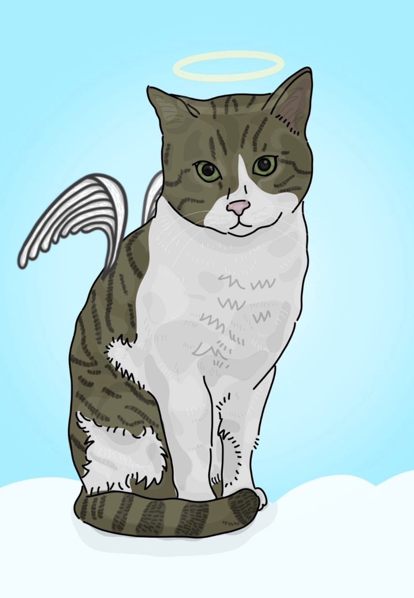 Ortalık cani kaynıyor, hayvanlara işkence edip öldürünce neyi başarmış oluyorlar anlamak mümkün değil, bugün savunmasız hayvanlara bunları yapan canilerin, yarın kendinden zayıf insanlara bunu yapmayacağının garantisi var mı?

 #muratözdemirtutuklansın