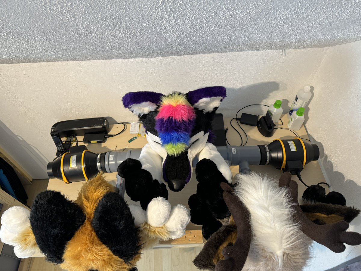 ❤️🐾H.M.S. ひまる 🐾❤️ 🔜 NFC-Furciety 👀 tweet media