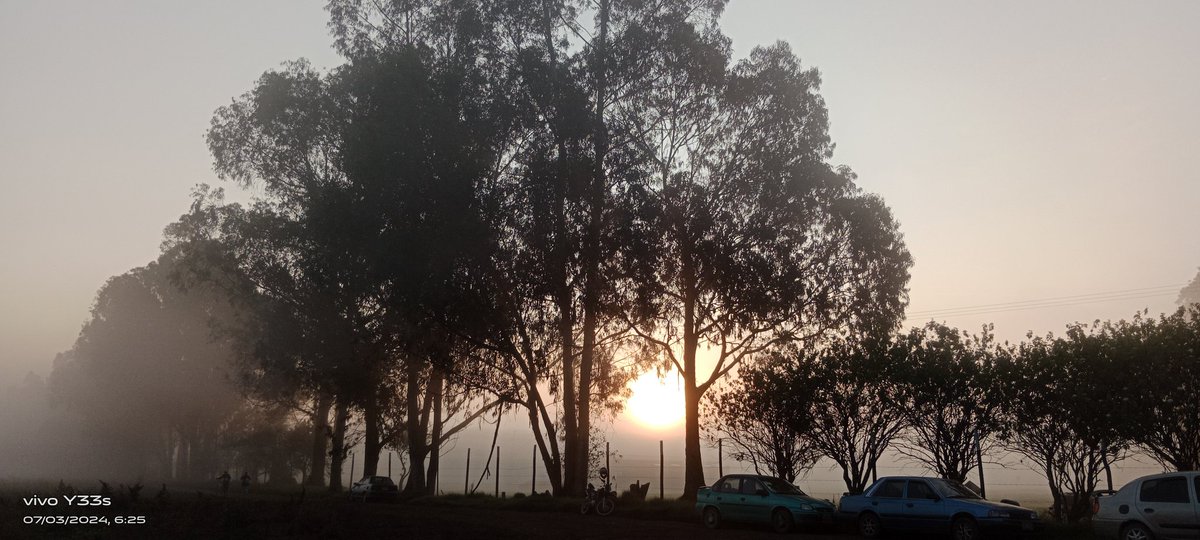 JRodrigud's tweet image. 